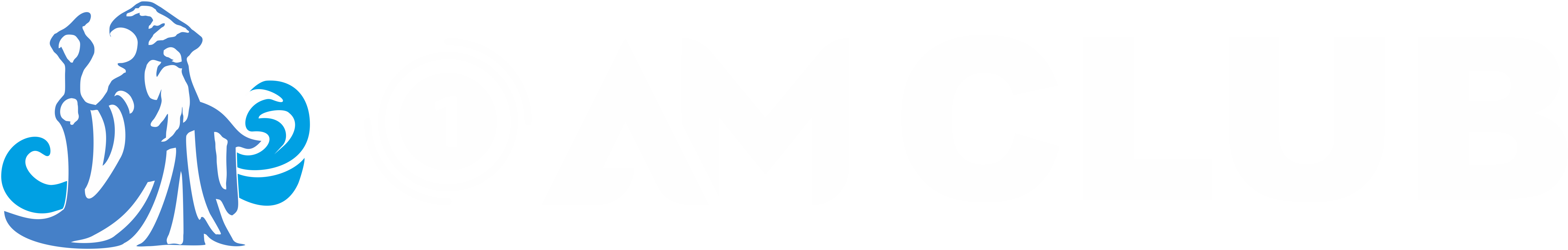 Aqua Mage Logo